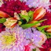 Orquesta Floral - Imagen 2