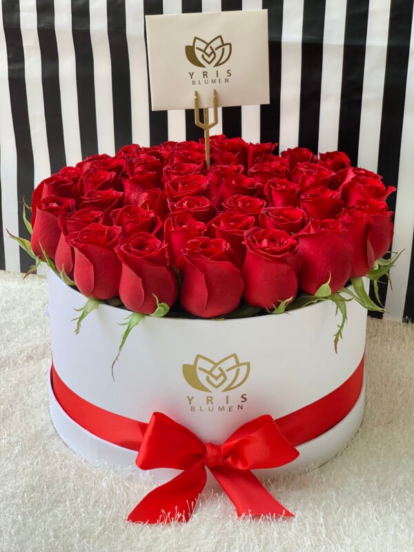 Amor Cautivo - Imagen 5