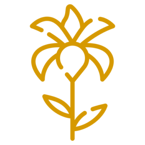 COLECCIÓN FLORES AMARILLAS